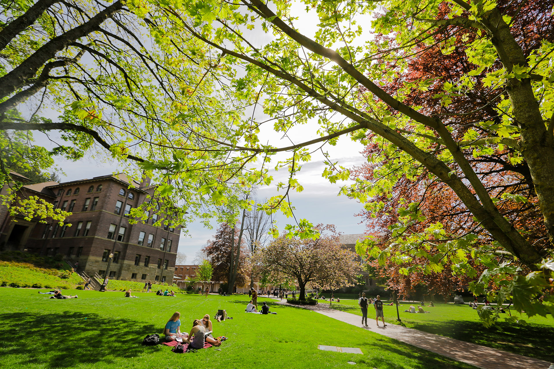 campus hi res-4725_0